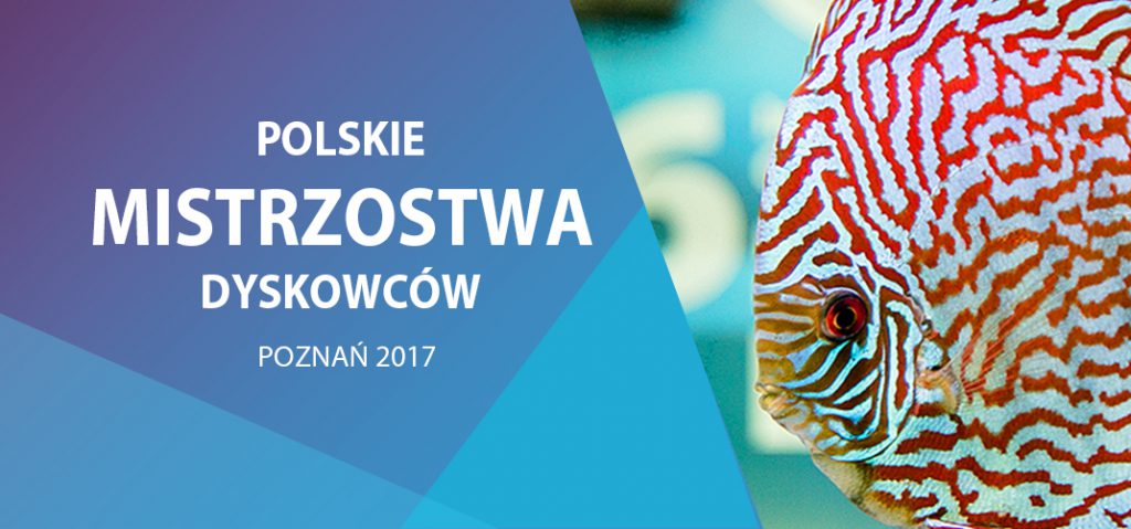 https://petbiznes.pl/wp-content/uploads/2017/10/polskie-mistrzostwa-dyskowcow-2017.jpg