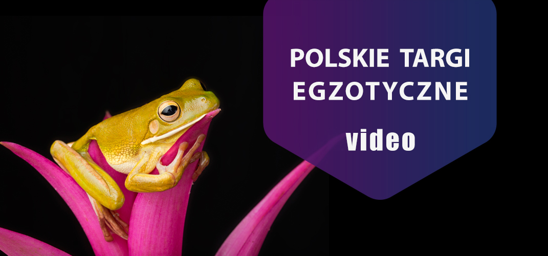 Polskie Targi Egzotyczne – relacja z imprezy.