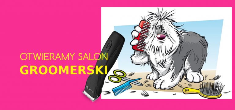 Groomer – psi fryzjer , czyli otwieramy salon piękności dla psów.