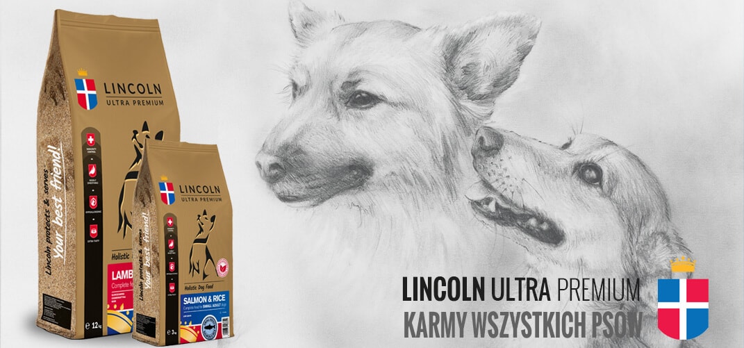 Lincoln Ultra Premium – karmy, które wspierają sklepy zoologiczne.