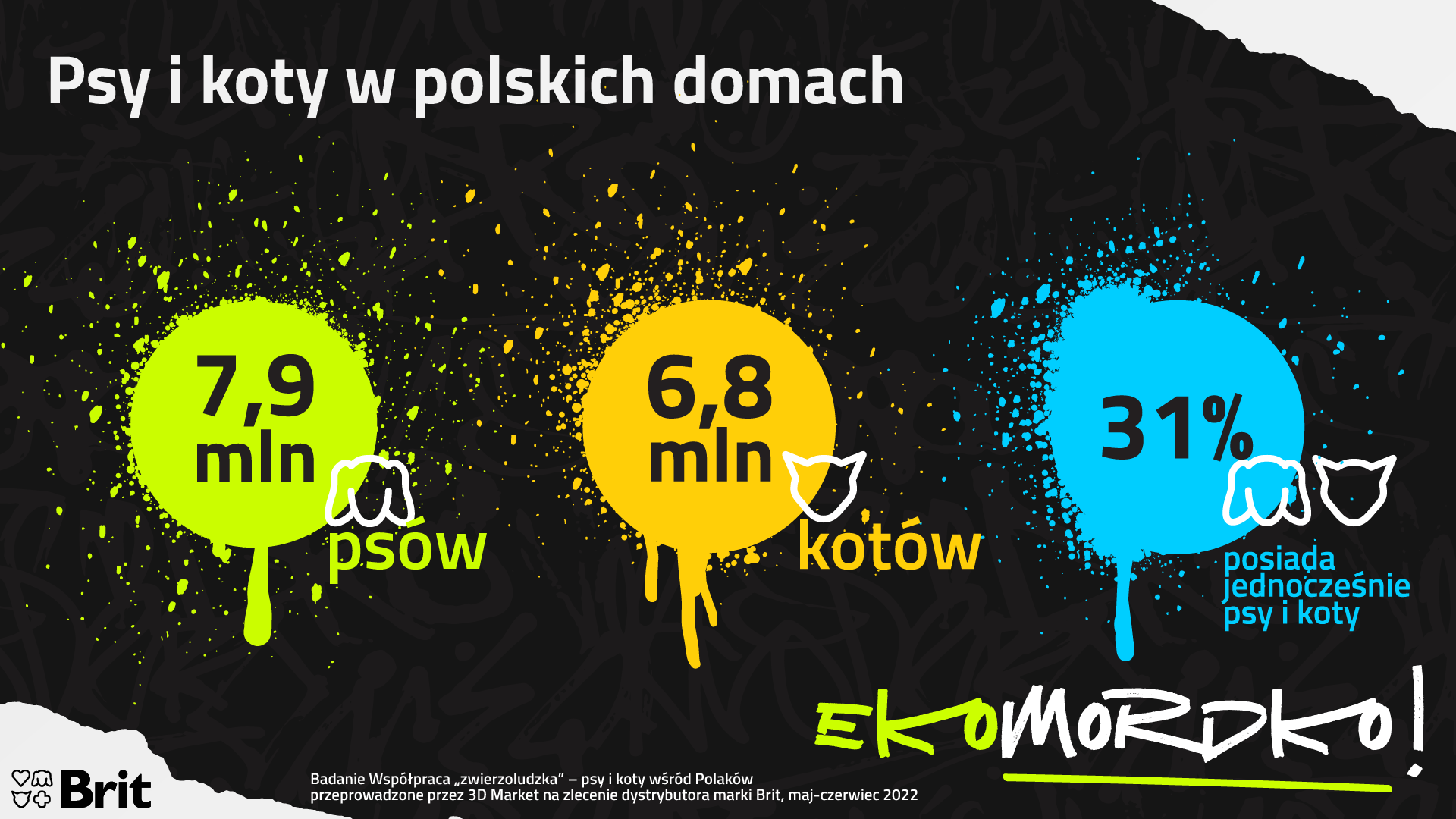 psy i koty w Polsce jaka ilość
